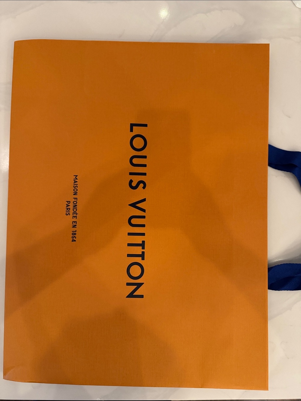 Louis Vuitton shopping bag
